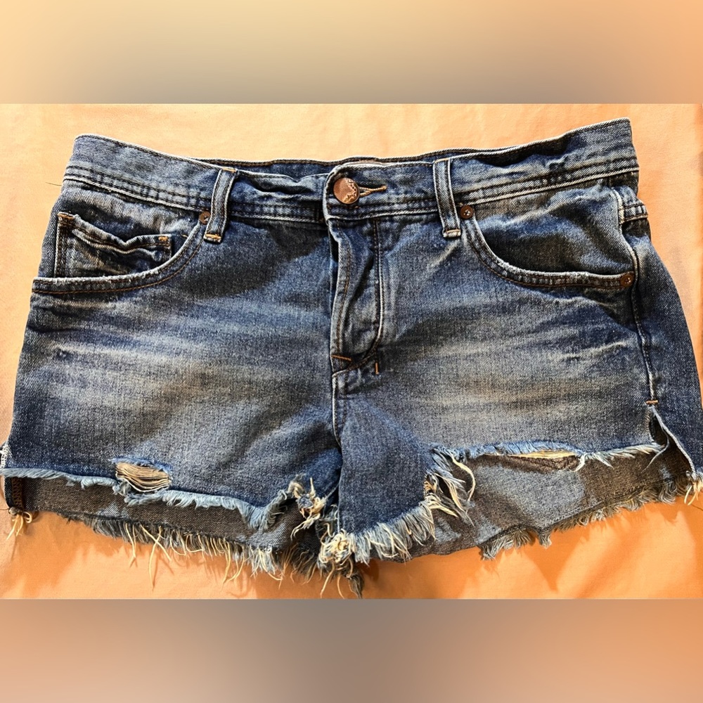 Free People Loving Good Vibrations Cutoffs